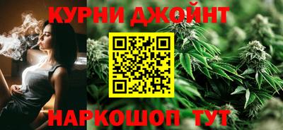 гидропоника Гатчина