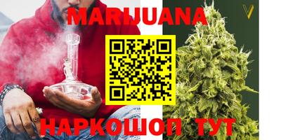 гидропоника Гатчина