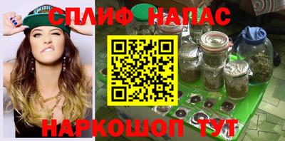 гидропоника Гатчина