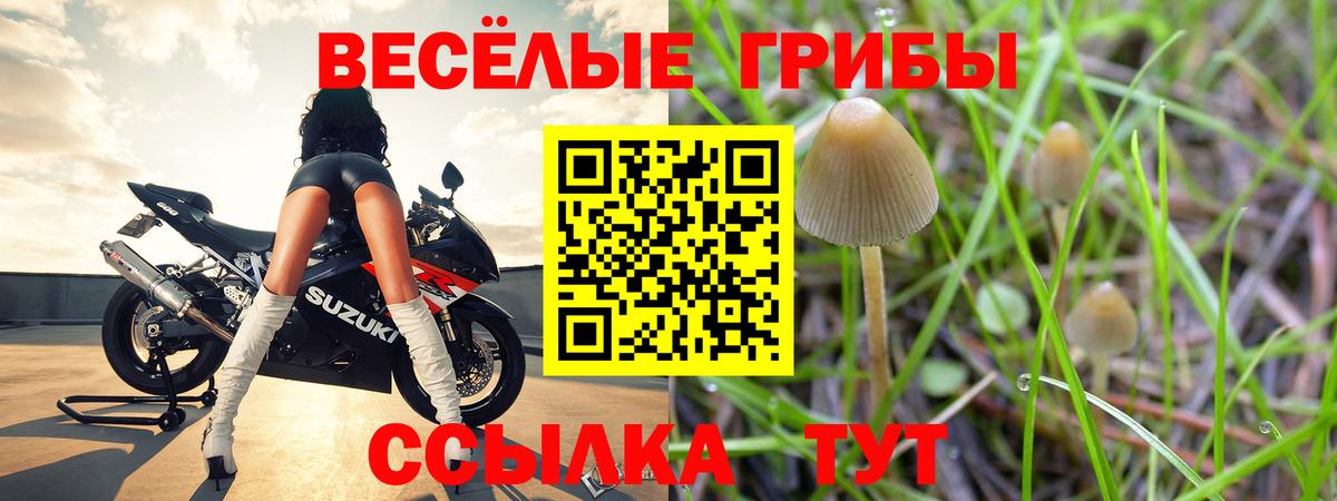 Галлюциногенные грибы ЛСД Южно-Сахалинск